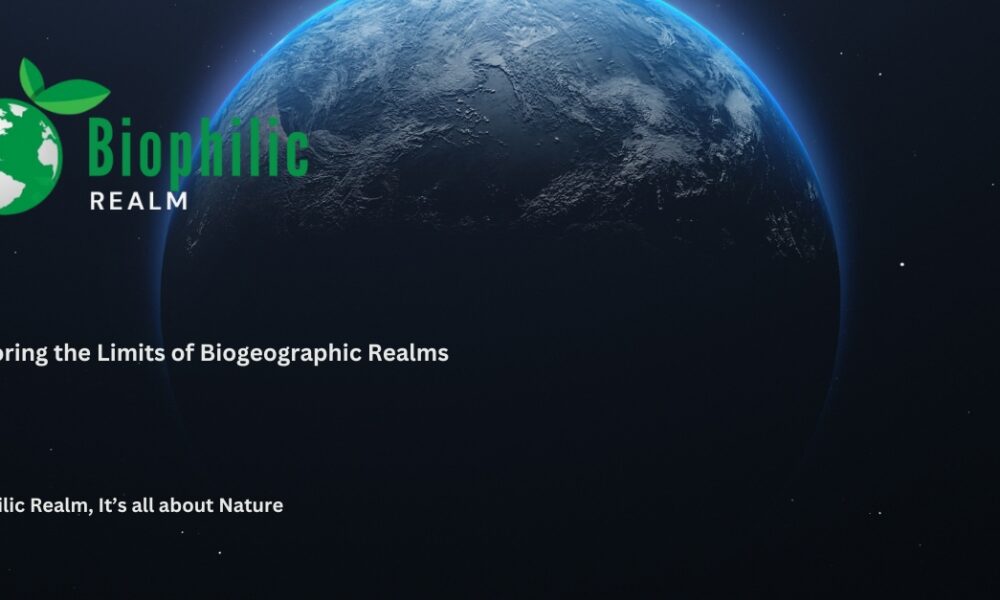 The Life Cycle of a Burmese Python - biophilicrealm.com