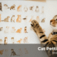 Cat Petting Chart
