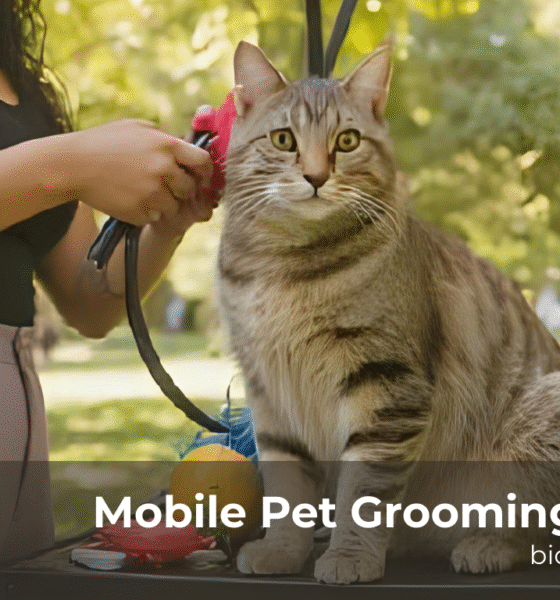 Mobile Pet Grooming For Cats