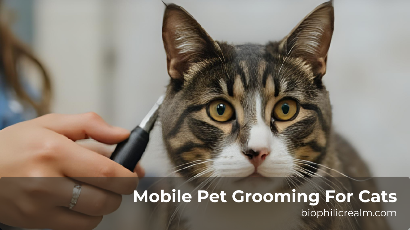 Mobile Pet Grooming For Cats