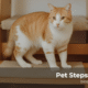 Pet Steps For Cats