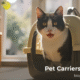 pet carriers for cats
